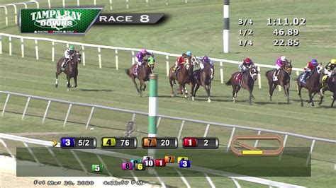 tampa bay downs replays